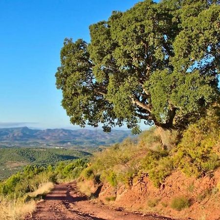 شقة Piso Sierra Calderona A 15 Minutos Del Mar Estivella المظهر الخارجي الصورة
